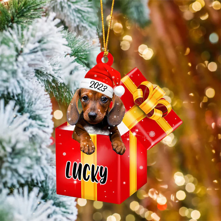 Custom Dachshund In Red Gift Box Acrylic Christmas Ornament Customized Name Pet Christmas Ornament - Gift For Dog Lovers, Pet Lovers - Image 2