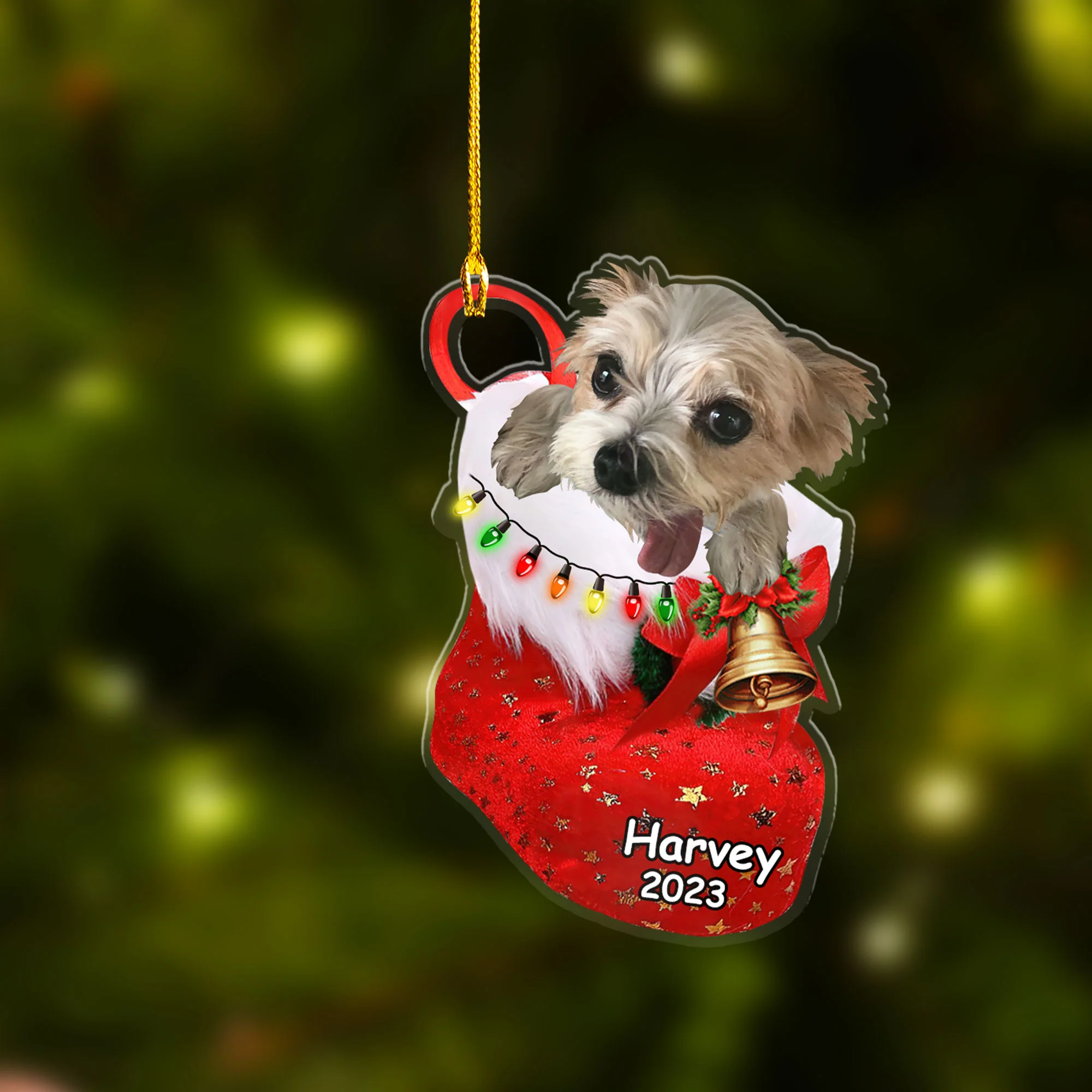 Custom Dog Photo Acrylic Christmas Ornament, Personalized Biewer Terrier in Christmas Sock Ornament for Dog Lover, New Year - Image 2
