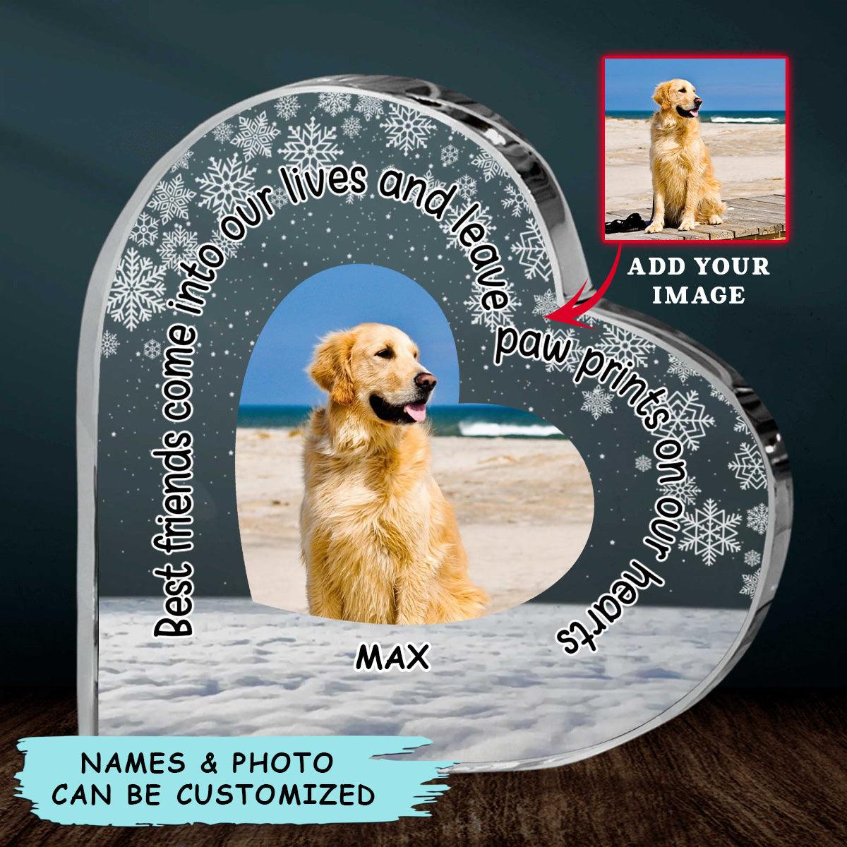 Custom Shaped Acrylic Plaque - Personalized Dog Best Friends Come Into Our Lives Custom Shaped Acrylic Plaque - Perfect Gift For Dog Lover