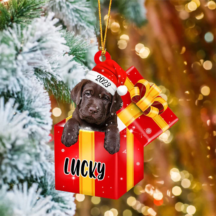 Customized Name Labrador Retriever In Red Gift Box Acrylic Christmas Ornament Personalized Pet Christmas Ornament - Gift For Dog Lovers, Pet Lovers - Image 4