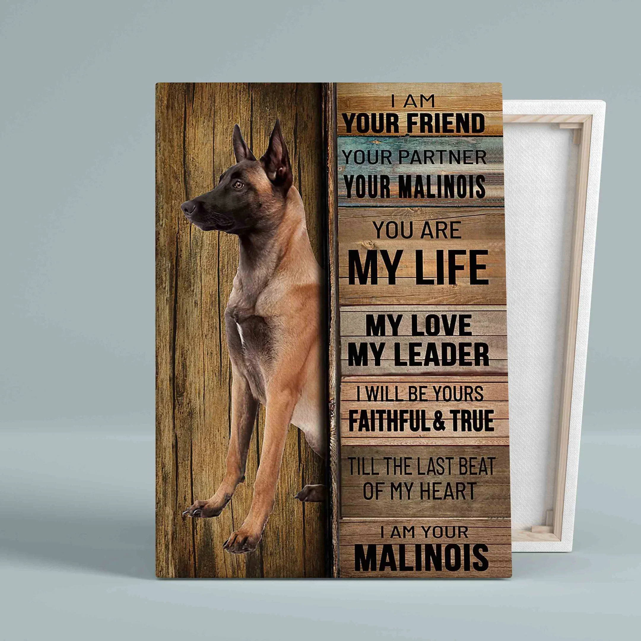 Malinois Portrait Canvas - I Am Your Friend Canvas - Pet Gift For Dog Lover, Dog Mom, Dad Portrait Canvas, Wall Decor Visual Art