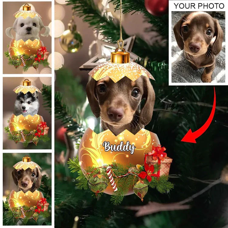 Personalized Gift For Pet Lovers, Custom Image Pet In Egg Acrylic Ornament For Pet Lovers - Image 2