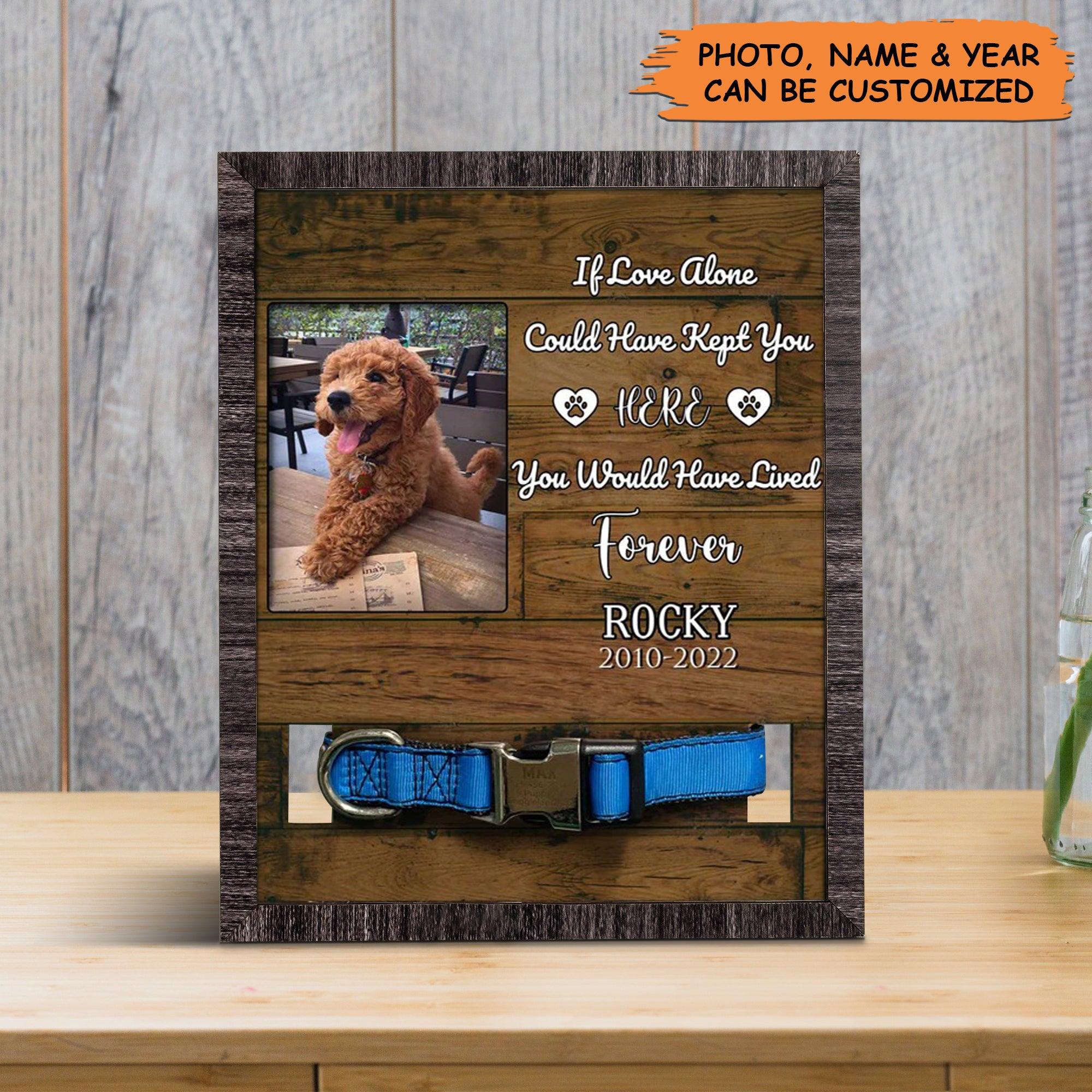 Personalized Pet Collar Frame - You Were My Favorite Dog Photo Keepsake, Pet Loss Sympathy, Memorial Custom Collar Frame - Gift For Grieving Pet Owner - Image 3
