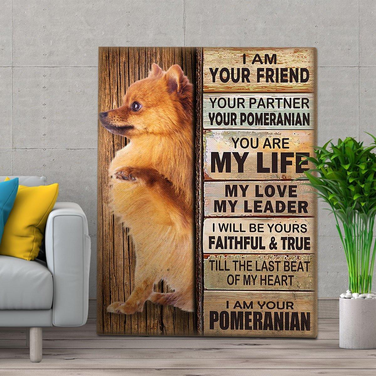 Pomeranian Portrait Canvas - Dog I Am Your Friend - Gift For Dog Lovers, Husband, Wife, Son, Daughter, Friends Portrait Canvas, Wall Decor Visual Art