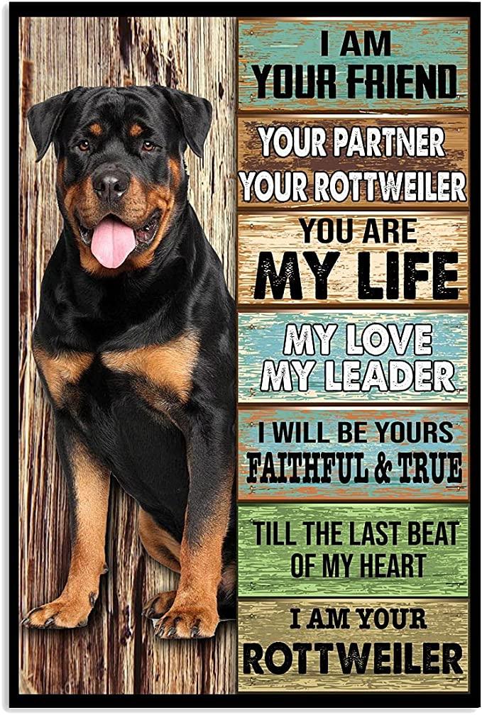 Rottweiler Portrait Canvas, I Am Your Friend Your Partner Your Rottweiler Portrait Canvas, Wall Decor Visual Art - Perfect Gift For Dog Lovers, Family - Image 2